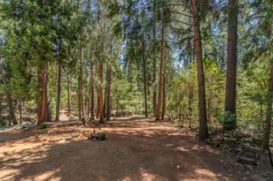 16845 S Silver Dr, Pioneer, CA 95666 - Photo 45