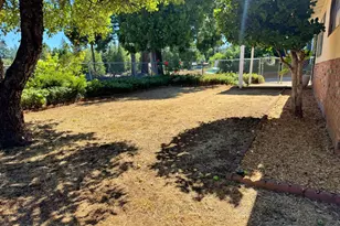 3860 Carson Rd, Camino, CA 95709 - Photo 31
