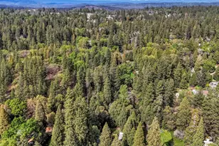 11312 Alpine Ln, Grass Valley, CA 95945 - Photo 63