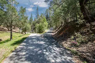 717 Swanson Ln, Colfax, CA 95713 - Photo 43