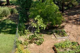 11090 Lakeshore N, Auburn, CA 95602 - Photo 13