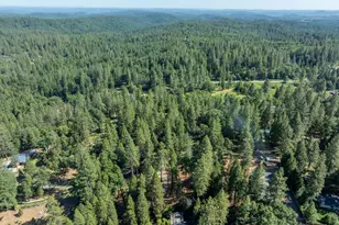 3051 Lasita Pl, Georgetown, CA 95634 - Photo 43