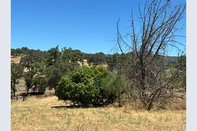 723 Saint Charles Street, San Andreas, CA 95249 - Photo 5