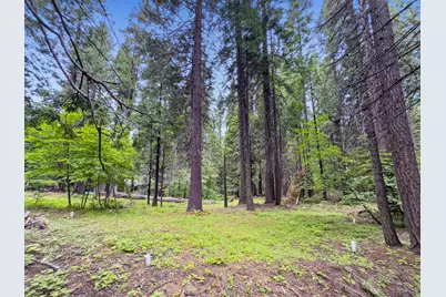 4278 Ottawa Drive, Camp Connell, CA 95223 - Photo 9