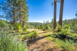 1360 Loka Ln, Greenwood, CA 95635 - Photo 45