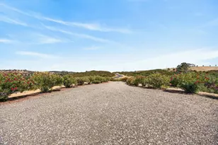 7630 Goose Hill Ranch Rd, Ione, CA 95640 - Photo 9