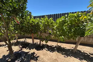1679 Dock Ave, Los Banos, CA 93635 - Photo 49