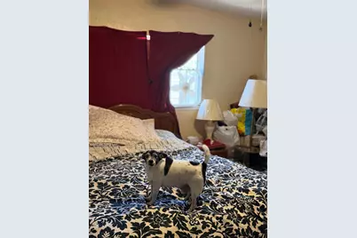 2442 Apache Street, Merced, CA 95348 - Photo 9