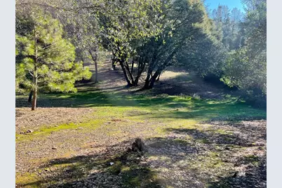 3040 Wolverine Court, El Dorado, CA 95623 - Photo 7