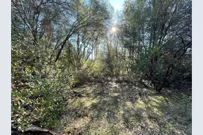 3040 Wolverine Court, El Dorado, CA 95623 - Photo 13