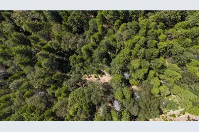 12479 Tesla Place, Nevada City, CA 95959 - Photo 9
