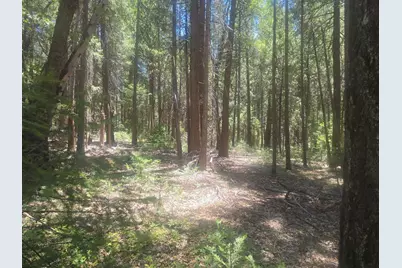 12479 Tesla Place, Nevada City, CA 95959 - Photo 29