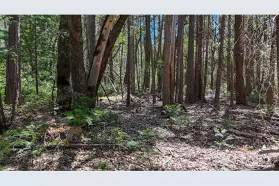 12479 Tesla Place, Nevada City, CA 95959 - Photo 11