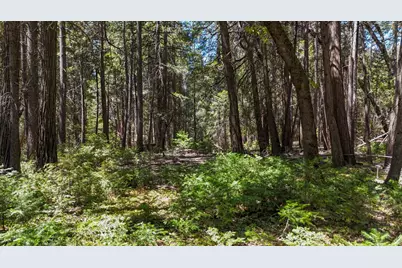 12479 Tesla Place, Nevada City, CA 95959 - Photo 19