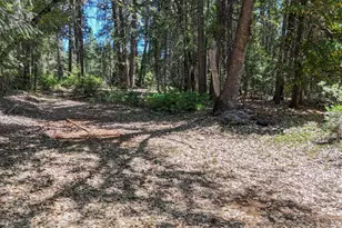 12479 Tesla Pl, Nevada City, CA 95959 - Photo 1