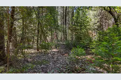 12479 Tesla Place, Nevada City, CA 95959 - Photo 3