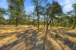 22311 Keller Rd, Smartsville, CA 95977 - Photo 49