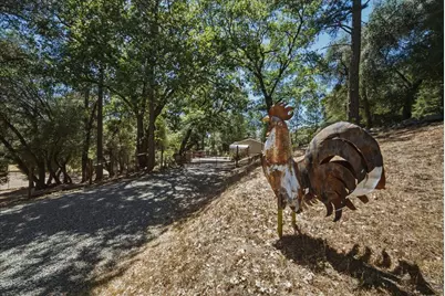 4246 Silver Ridge Court, Placerville, CA 95667 - Photo 3