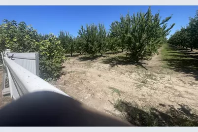 22095 State Highway 120, Escalon, CA 95320 - Photo 31