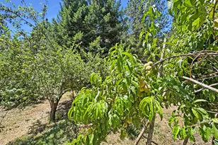 505 Caruso Ct, Colfax, CA 95713 - Photo 33