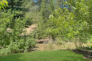 505 Caruso Ct, Colfax, CA 95713 - Photo 31