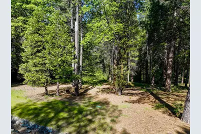 13136 Woodstock Drive, Nevada City, CA 95959 - Photo 7