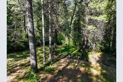 13136 Woodstock Drive, Nevada City, CA 95959 - Photo 29