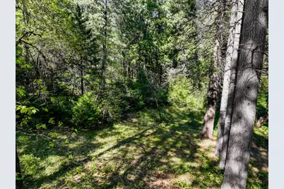 13136 Woodstock Drive, Nevada City, CA 95959 - Photo 11