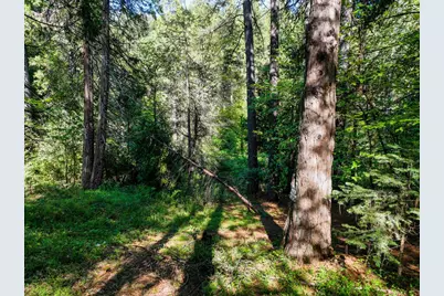 13136 Woodstock Drive, Nevada City, CA 95959 - Photo 21