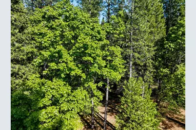 13136 Woodstock Drive, Nevada City, CA 95959 - Photo 25