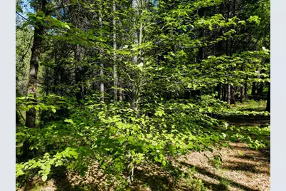 13136 Woodstock Drive, Nevada City, CA 95959 - Photo 27
