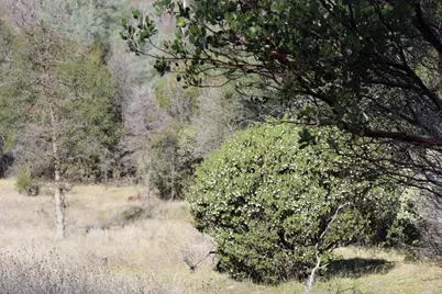 0 Fricot City Road, San Andreas, CA 95249 - Photo 1