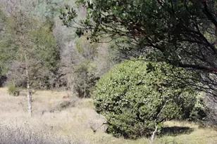 0 Fricot City Rd, San Andreas, CA 95249 - Photo 1