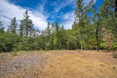22600 Plumtree Road, Colfax, CA 95713 - Photo 15