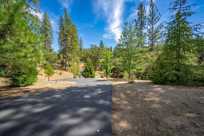 22600 Plumtree Road, Colfax, CA 95713 - Photo 7