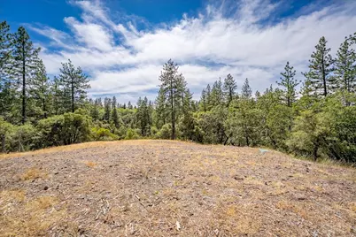 22600 Plumtree Road, Colfax, CA 95713 - Photo 5