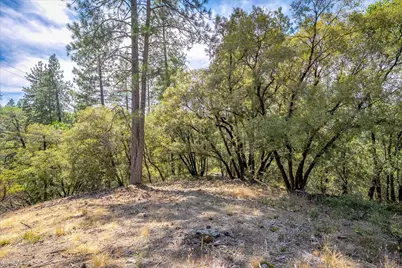 22600 Plumtree Road, Colfax, CA 95713 - Photo 11