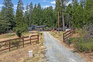 26255 State Hwy 88, Pioneer, CA 95666 - Photo 31