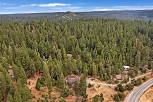 26255 State Hwy 88, Pioneer, CA 95666 - Photo 39