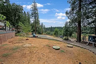 26255 State Hwy 88, Pioneer, CA 95666 - Photo 47