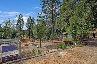 26255 State Highway 88, Pioneer, CA 95666 - Photo 45