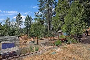 26255 State Hwy 88, Pioneer, CA 95666 - Photo 45