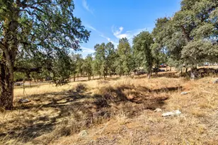 10363 Tulipan Way, Coulterville, CA 95311 - Photo 39
