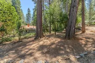23512 Robin Rd, Pioneer, CA 95666 - Photo 3