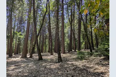 14365 N Bloomfield Road, Nevada City, CA 95959 - Photo 21