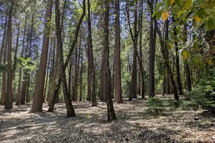 14365 N Bloomfield Rd, Nevada City, CA 95959 - Photo 21