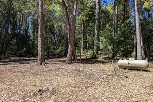 14365 N Bloomfield Rd, Nevada City, CA 95959 - Photo 19