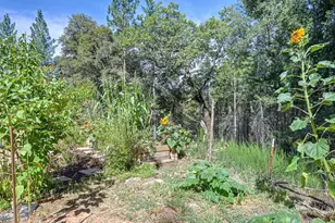 4903 Scotch Broom Ln, Garden Valley, CA 95633 - Photo 63