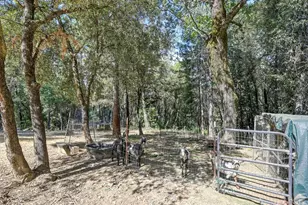 4903 Scotch Broom Ln, Garden Valley, CA 95633 - Photo 77