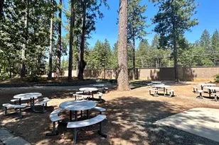 Grinding Rock Dr, Grass Valley, CA 95949 - Photo 67